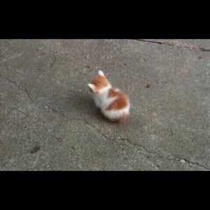 Meet your Posher, Eva